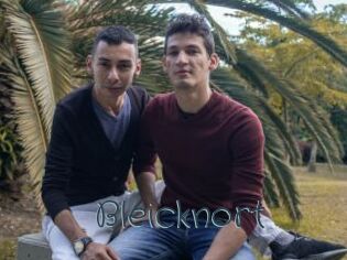 Bleicknort