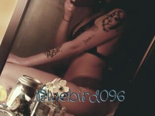 Bluebird096