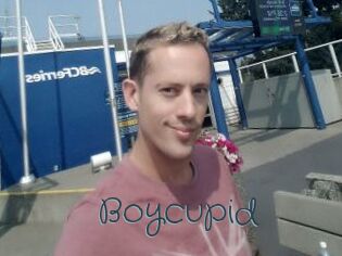 Boycupid