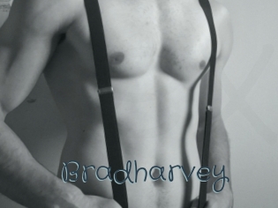 Bradharvey