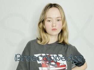 Breecoppedge