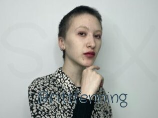 Brittfenning