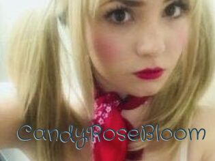 CandyRoseBloom