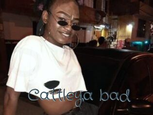Cattleya_bad