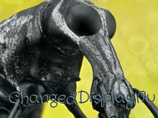 ChangedDisplayNu