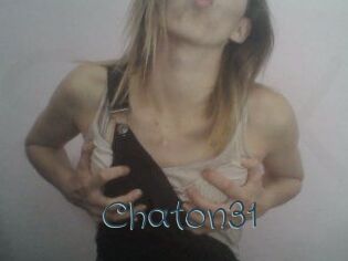 Chaton31