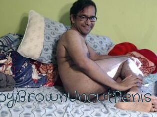 ChubbyBrownUncutPenis