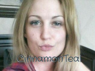 CinnamonTeal