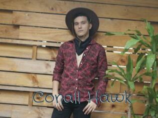 Conall_Hawk