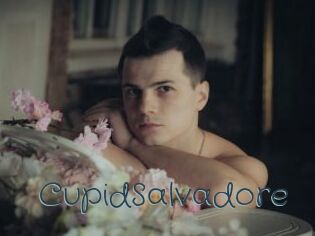 CupidSalvadore