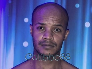 Calibbc88