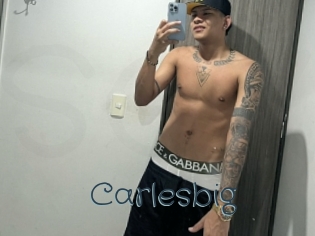 carlesbig Sexcam Livesex