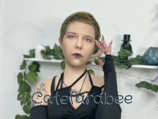 Catefarabee