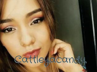 cattleyacandy Sexcam Livesex