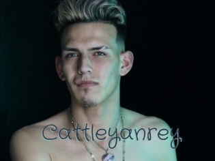 cattleyanrey Sexcam Livesex