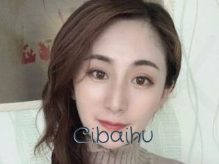 Cibaihu