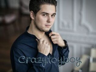 Crazytoyboy