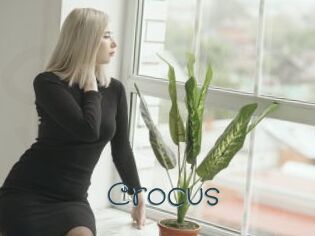 Crocus