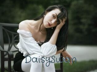 DaisySwan