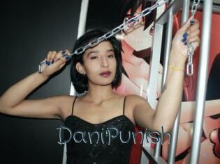 DaniPunish