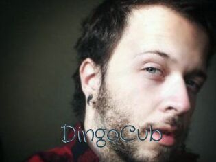 DingoCub