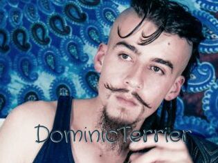 DominicTerrier