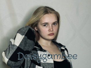 Daisygambee