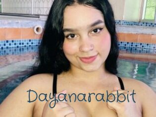 Dayanarabbit