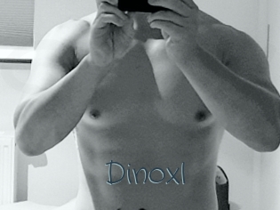 dinoxl Sexcam Livesex