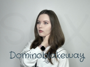 Dominoblakeway