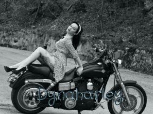 Dynaharley