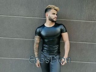 ErosDion