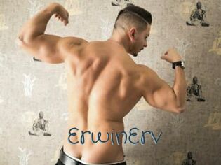 ErwinErv