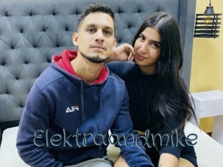 Elektraandmike