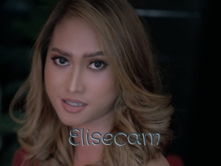 Elisecam