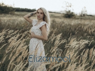 Elizamool