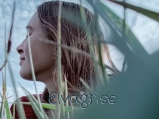 Elvagrise