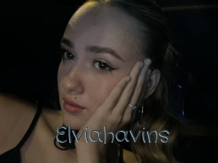 Elviahavins