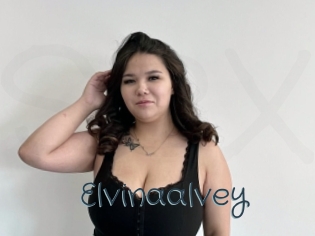 Elvinaalvey