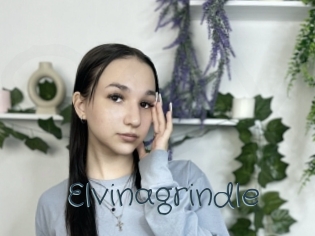 Elvinagrindle