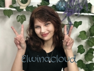 Elwinacloud