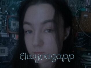 Elwynagapp