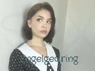 Engelgearing