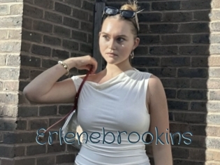 Erlenebrookins