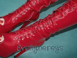 Evellynereys