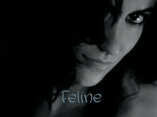 Feline Sexcam Livesex