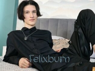 Felixburn