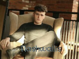 Flashwallis