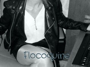 Flocoquine