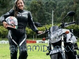 GATAMIDORIXX